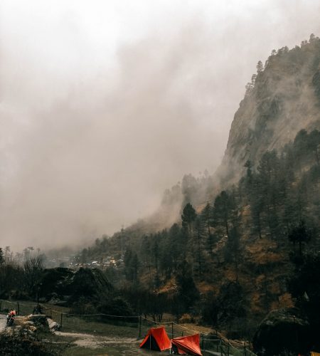 pexels-harshit-nandu-2873086 (1)